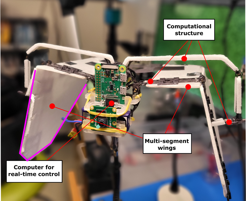 [PAPER] Actuation and Flight Control of High-DOF Dynamic Morphing Wing Flight by Shifting Structure Response