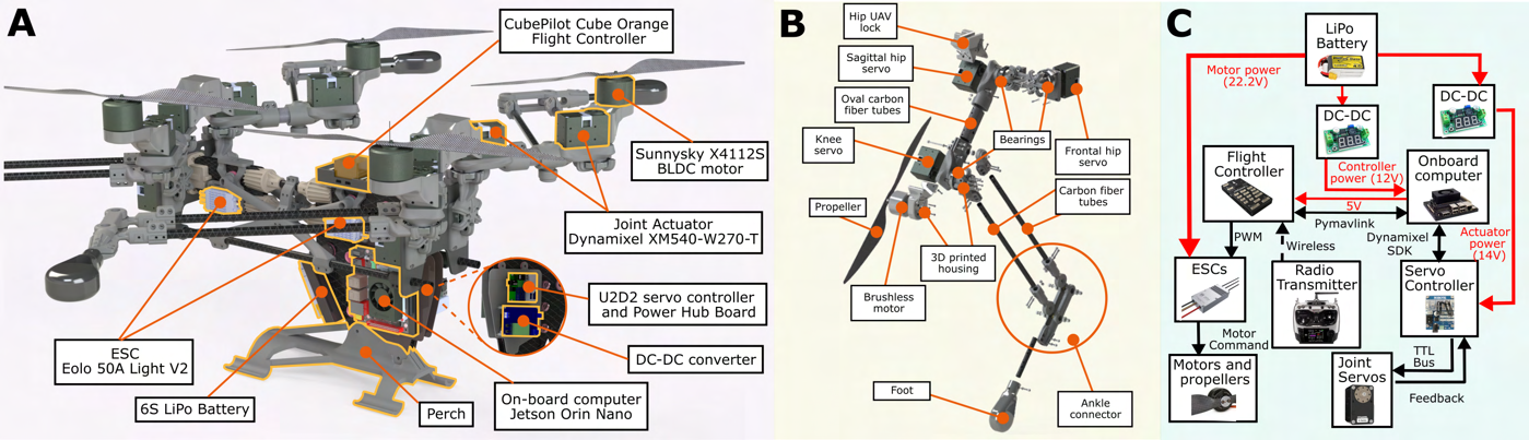 [PAPER] Dynamic Quadrupedal Legged and Aerial Locomotion via Structure Repurposing