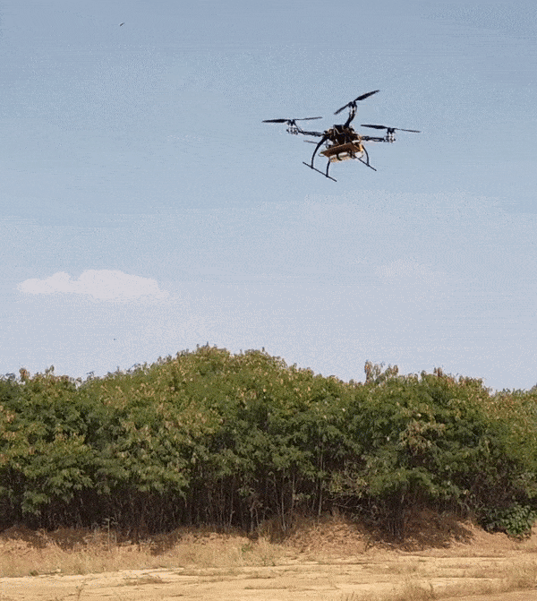 Sensing and Estimation